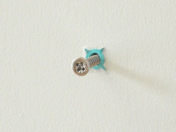 As good as it gets (detail) 2008 18 carat white gold screw (hallmarked) with white sapphire, three turquoise rawl plugs, edition of 10